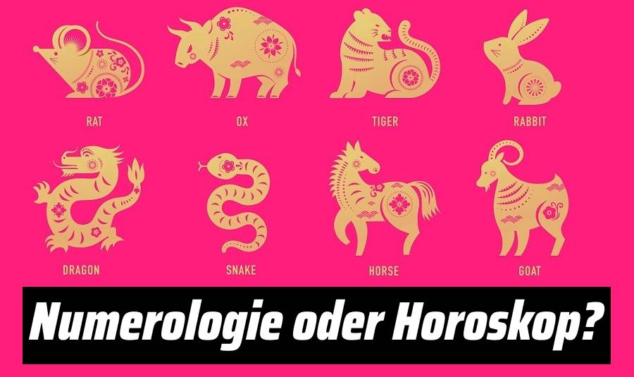 Numerologie oder Horoskop